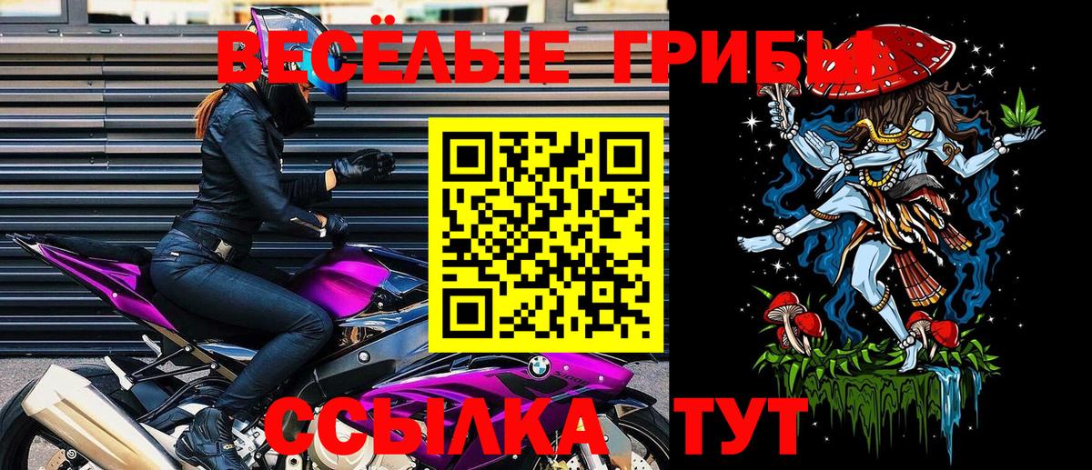 Самара  Псилоцибиновые грибы GOLDEN TEACHER  Псилоцибиновые грибы Magic Shrooms  Вход с VPN 